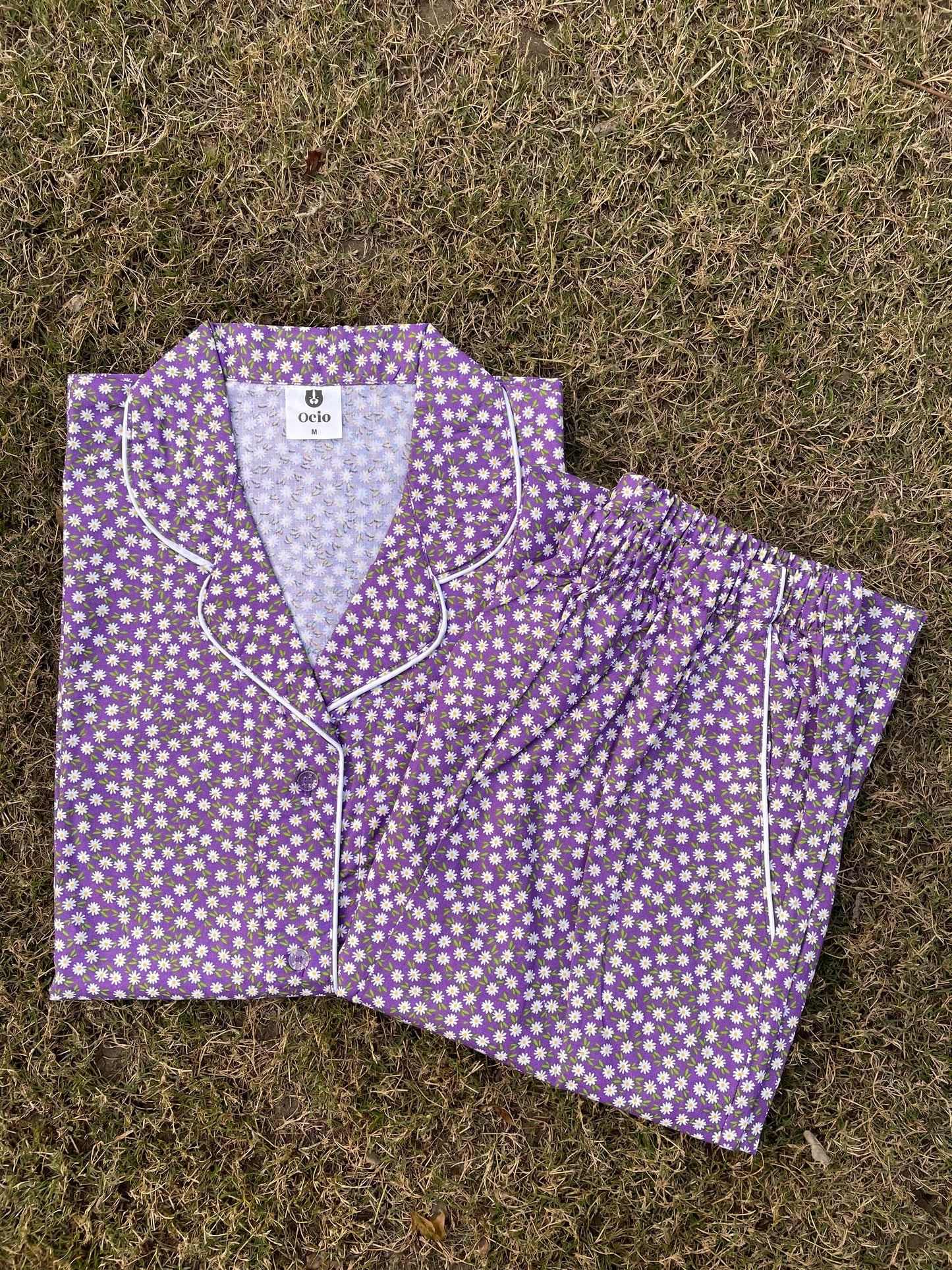 Violet Daisy- WPJS56