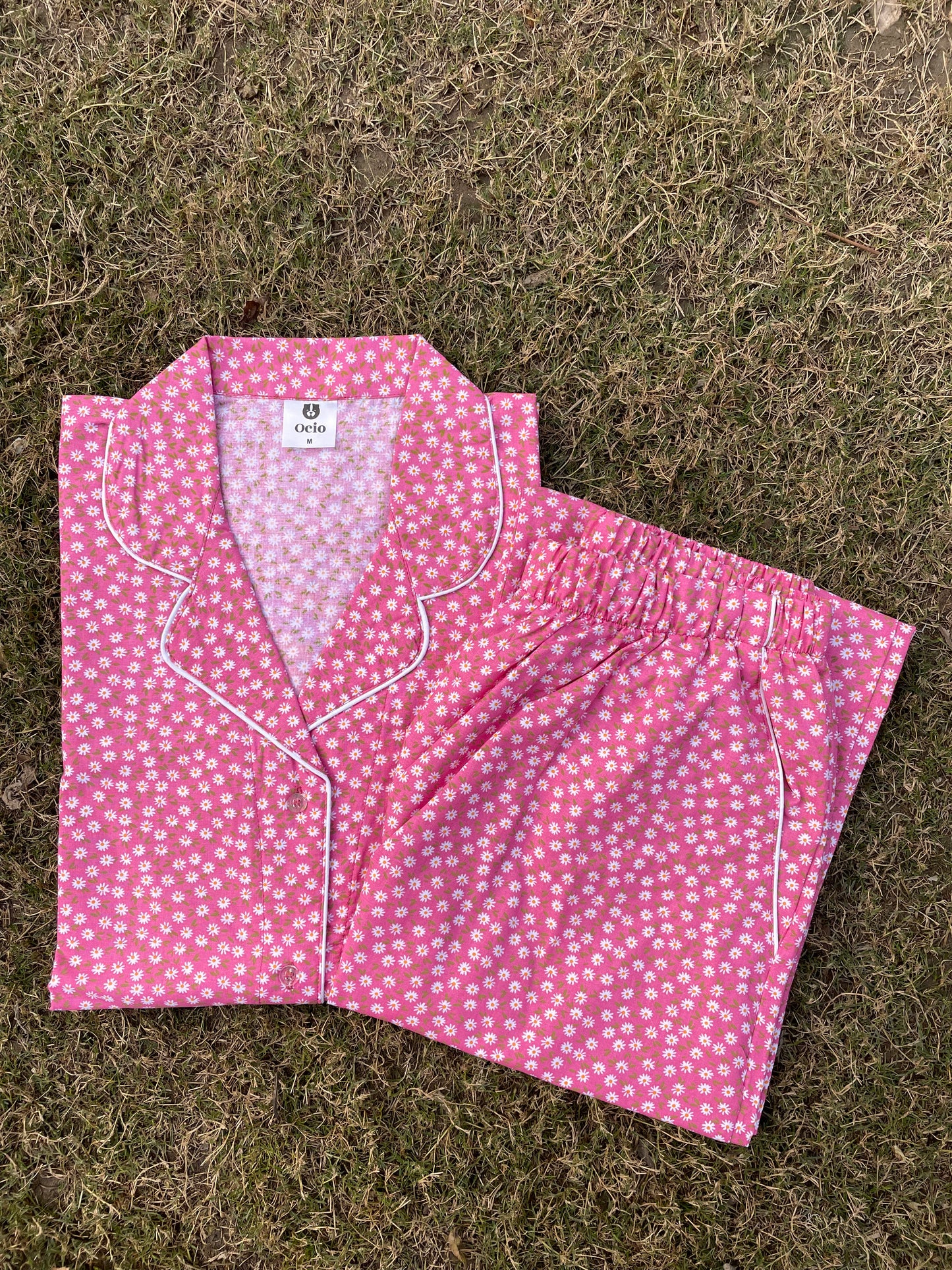Pink Daisy - WPJS56