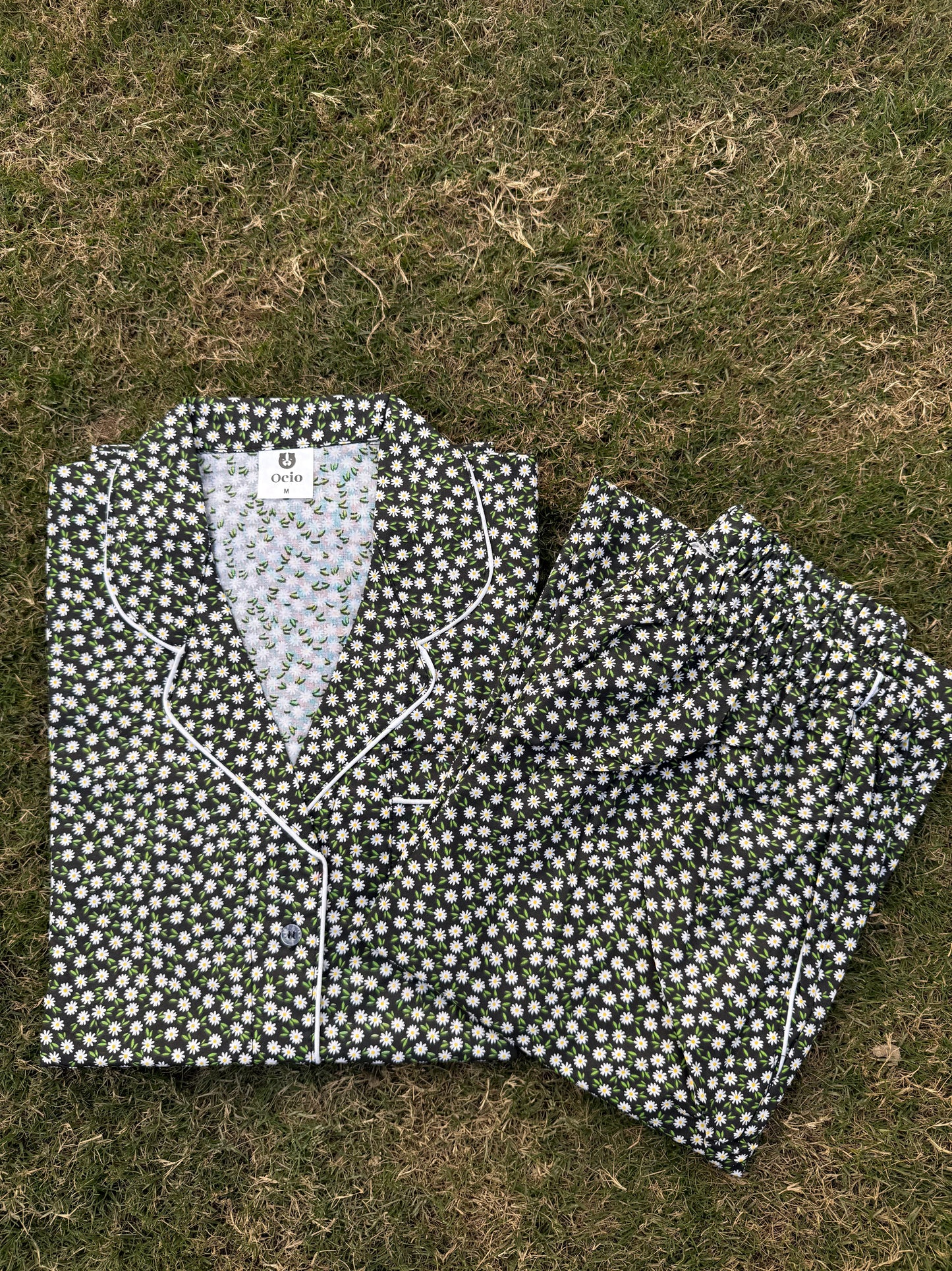 Purple Daisy - WPJ1025