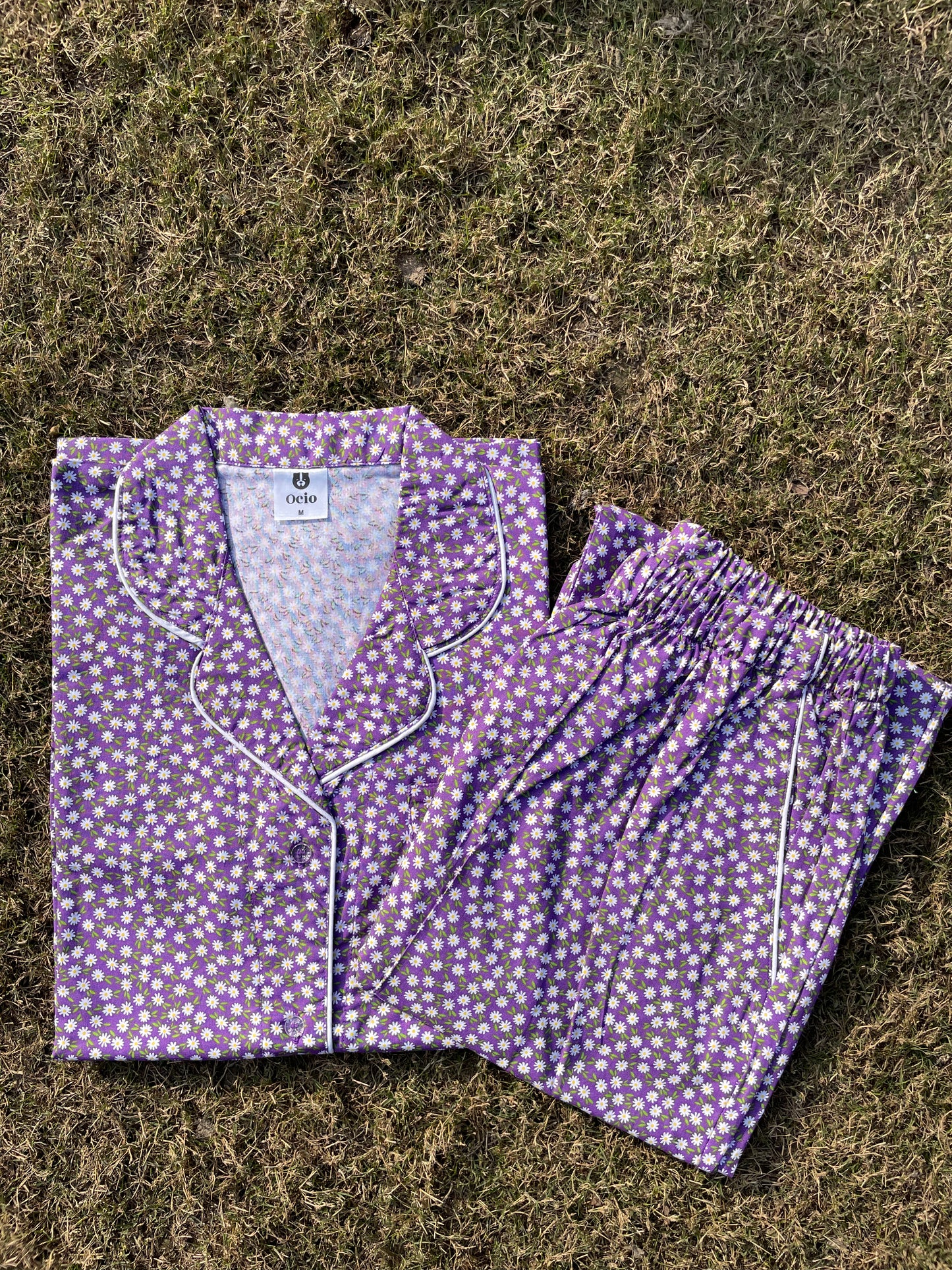 Violet Daisy- WPJS56