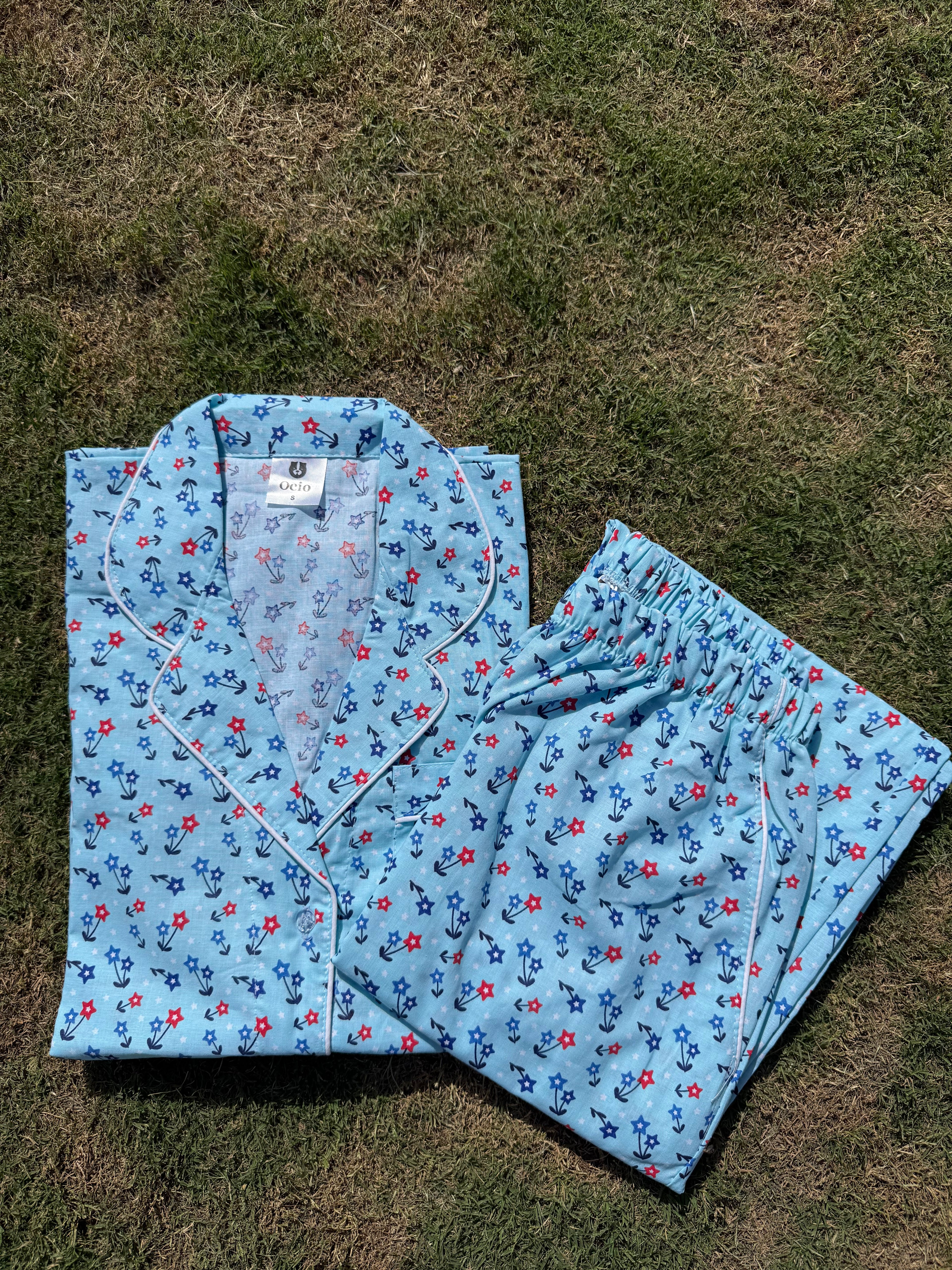 Blue Rose - WPJ1165