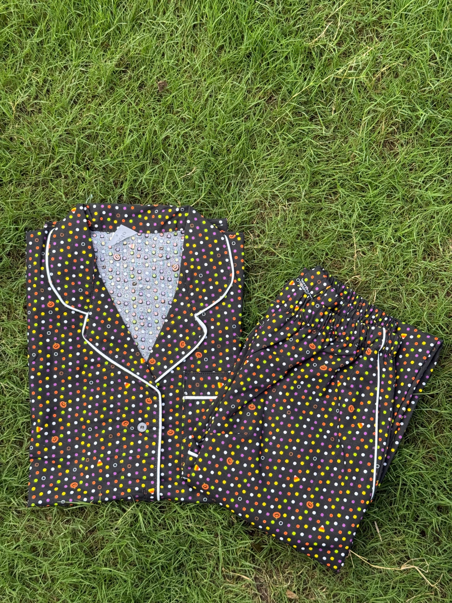 Coloured Pumpkins - WPJ805