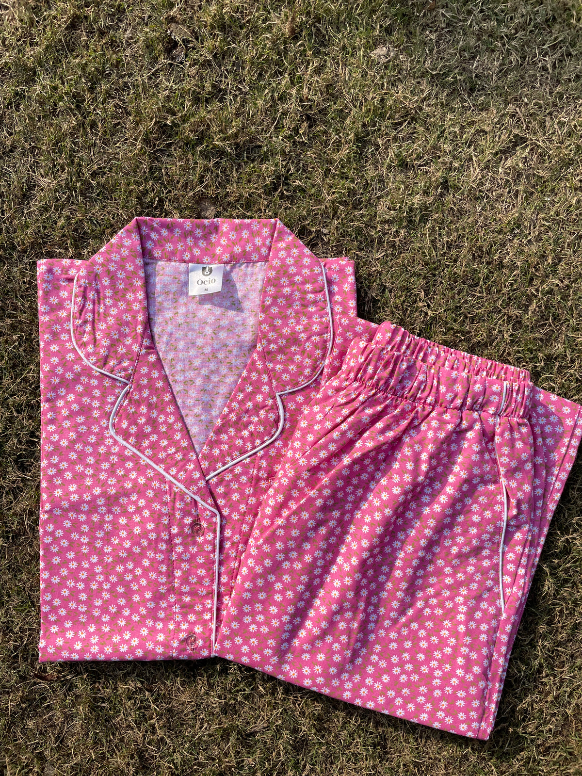 Pink Daisy - WPJS56