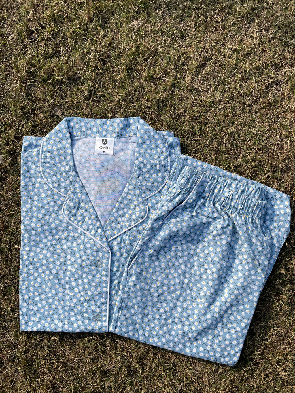 Sky Daisy - WPJS53