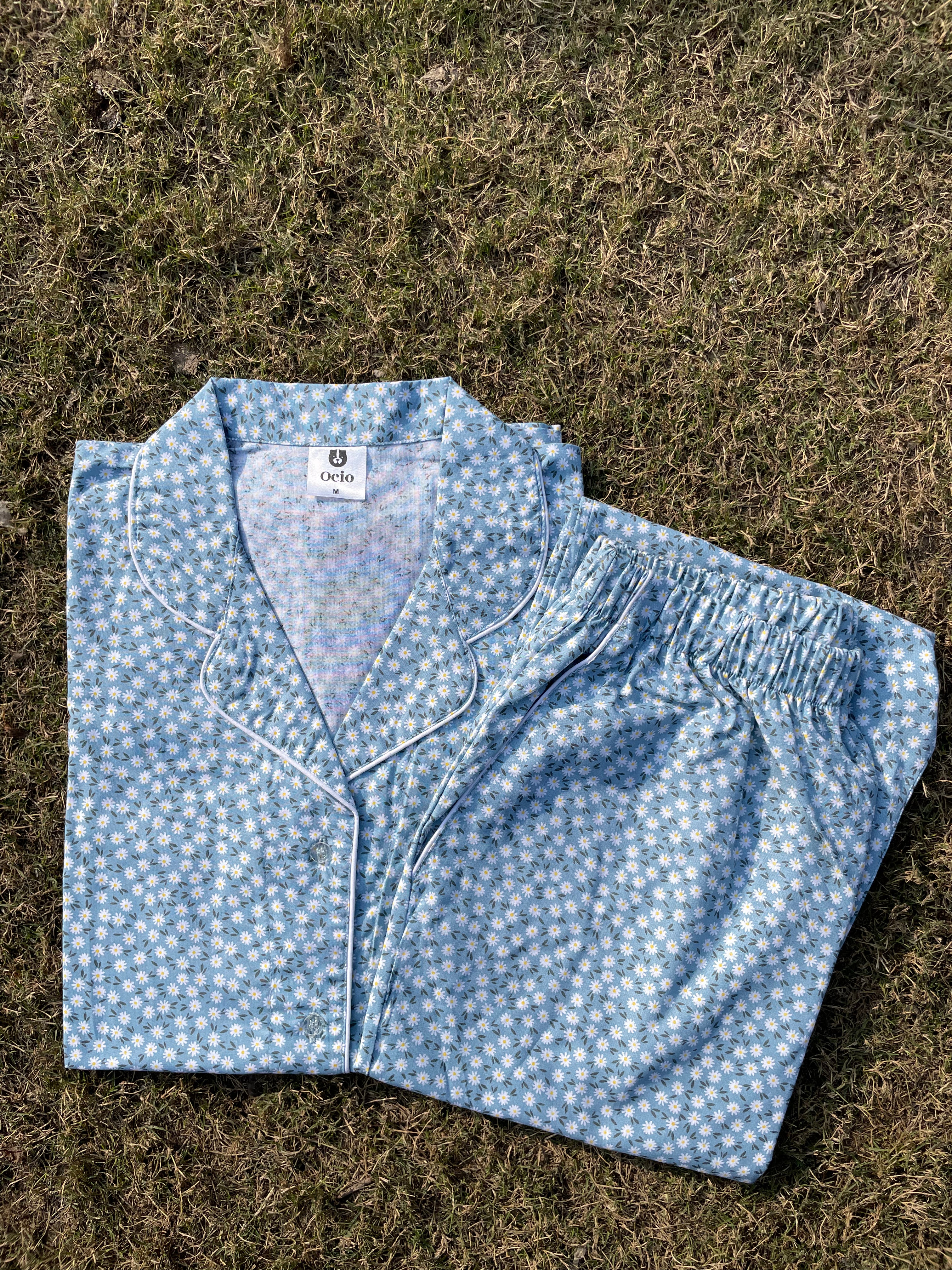 Sky Daisy - WPJS53