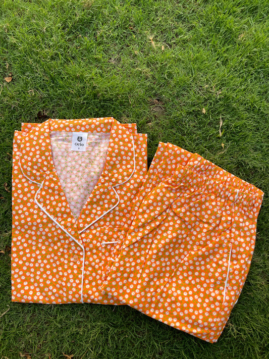 Orange Daisy - WPJ440
