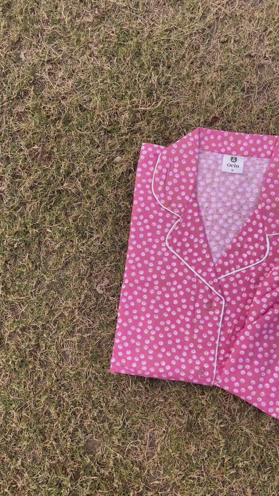 Pink Daisy - WPJS56